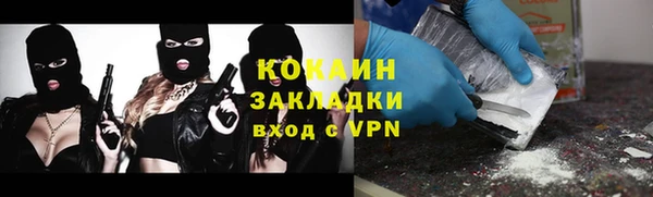 прущие крисы Алзамай