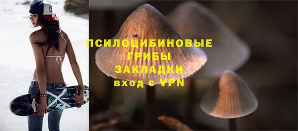 круглые Алексеевка