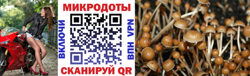 Псилоцибиновые грибы мицелий  Купить где  Суровикино 